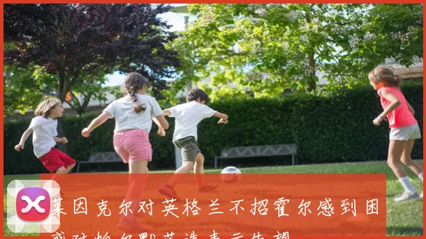 莱因克尔对英格兰不招霍尔感到困惑对帕尔默落选表示失望